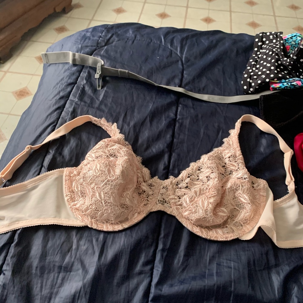 Bra - Picture 2 of 2